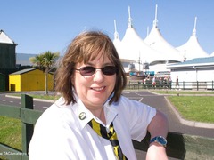 SpeedyBee - Speedy  The Holiday Photographer Gallery