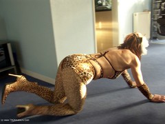 Jolanda - Cornwall Gallery