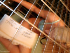 Tracey Lain - Caged Video