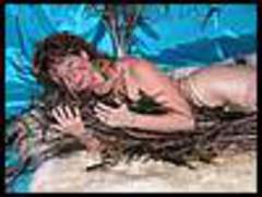 Devlynn - Peacock Feathers  Gallery