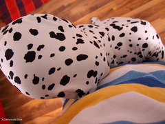 POVStation - Jane Black Spandex Pt1 Gallery