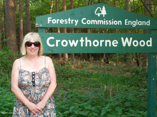 SpeedyBee - Crowthorne Wood