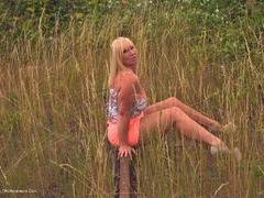 Melody - Railway Gallery