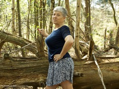 Savana - In The Forest Gallery