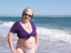 SpeedyBee - On The Beach Again Gallery