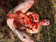 Mary Bitch - In The Red Plums Gallery