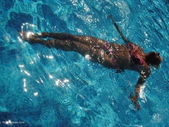 Dimonty - Out  About Gallery