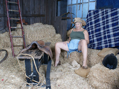 Savana - The Barn Gallery