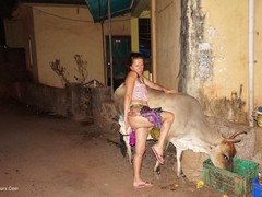 Diana Ananta - Evening Entertainment Pt2 Gallery