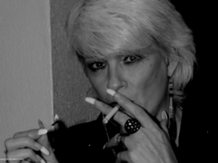 Phillipas Ladies - Dimonty Smokes Gallery