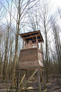 The Forest Watchtower featuring Sweet Susi