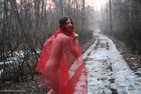 Winter Forest Magick featuring Malika Free Pic 1