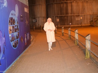 Dimonty - Pink Fur Coat Gallery