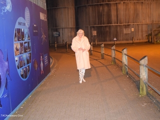 Phillipas Ladies - Dimonty Flashing Around Town Gallery