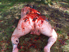 Mary Bitch - Dirty Masturbation With Red Plums Pt1 Video