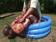 Mary Bitch - Bound  Fucked In Plum Jam Pt3 Video