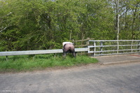 Flashing On The Bridge featuring Lexie Cummings