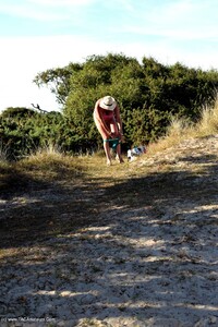 Bikini Beach Babes featuring Phillipas Ladies